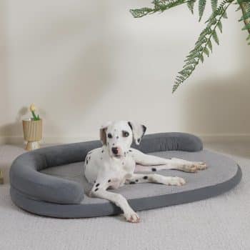 Jiupety Dog Bed with Egg-Crate Foam