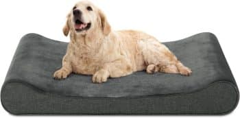 Casa Paw XL Orthopedic Dog Bed