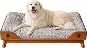 
Elevated Dog Bed - Solid Wood Dog Bed Frame with Soft Cushion
