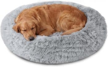 JOLLYVOGUE Calming Dog Bed