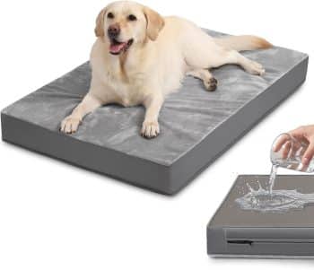 Waterproof Outdoor Dog Bed Large Sized