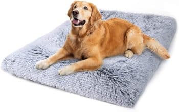 
Vonabem Dog Bed, Extra Large