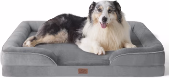 Bedsure Orthopedic XL Dog Bed