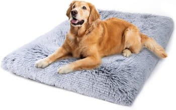 Large Dog Bed Crate Pad 35"