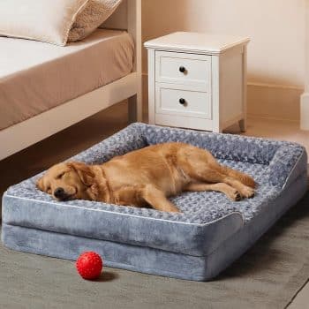 
WNPETHOME Orthopedic Washable Dog Bed 
