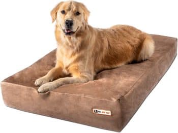 Barker Beds Large Orthopedic Dog Bed