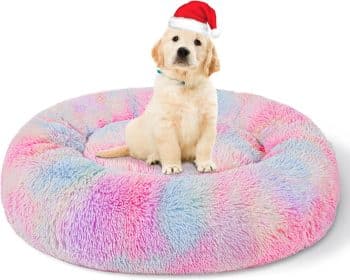  Patas Lague Calming Dog Bed for Small Dogs
