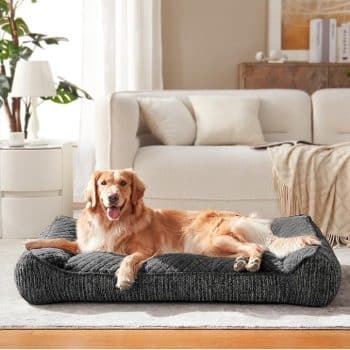 JOEJOY XL Orthopedic Dog Bed for Large Dogs