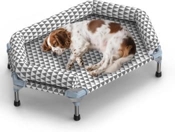 Kuntrust Orthopedic Dog Bed for Medium Dogs