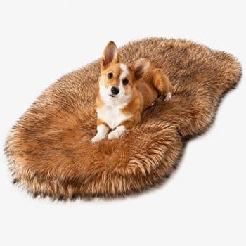 PupRug Orthopedic Dog Bed for Large Dogs