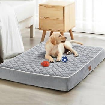 WNPETHOME Orthopedic Waterproof Large Sized Senior Dogs Bed 