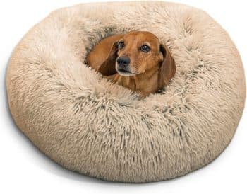 Best Friends by Sheri Original Calming Donut Dog Bed
