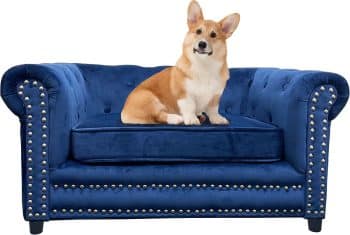 First of a Kind Cushion Pet Sofa Bed