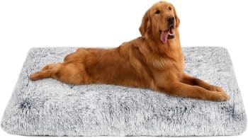 Dog Bed Crate Pad, Dog beds for Large Dogs
