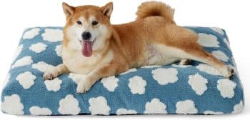
LE SURE Cute Aesthetic Dog Bed