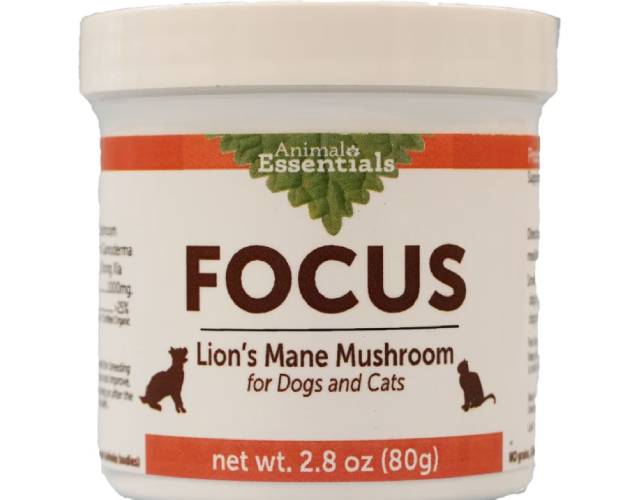 Animal Essentials Focus Lions Mane Cat & Dog Vitamin Supplement