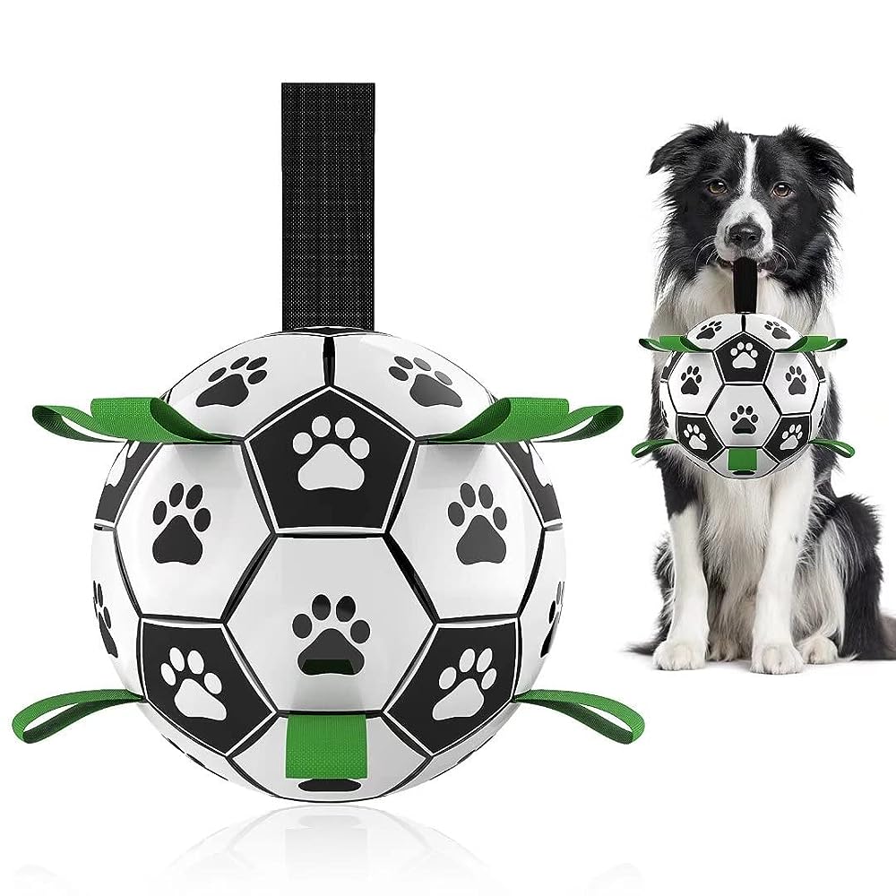 Best Active Dog Toys for the Restless Pup – Furtropolis