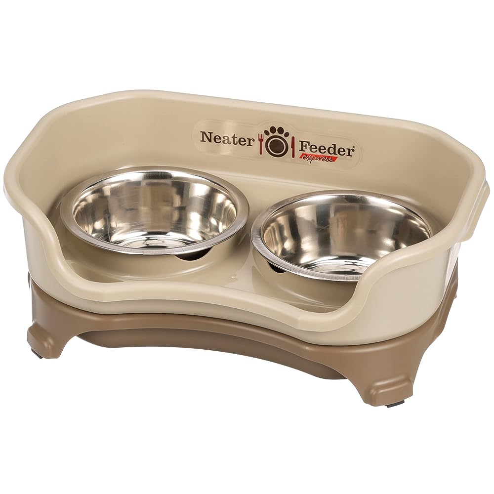 4 Best No-spill Dog Bowls For Sloppy Drinkers (17 Tested) - Dog Lab