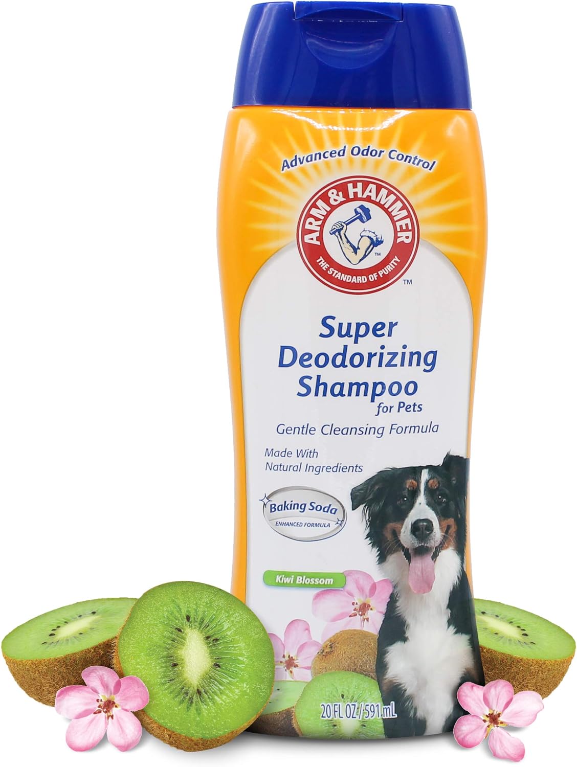 10 Best Deodorizing Shampoos for Stinky Dogs