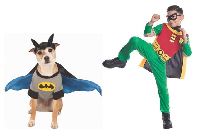 Batman and Robin Costumes