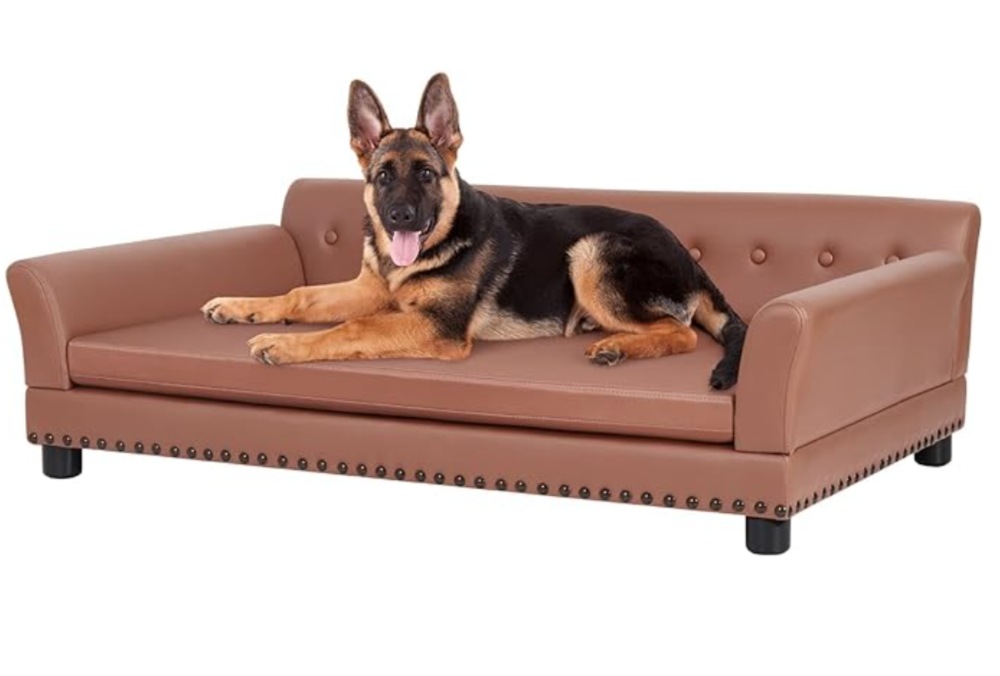 BingoPaw Large Dog Sofa Bed