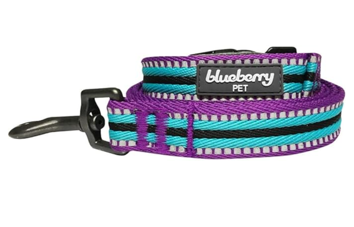 Blueberry Pet Striped Reflective Dog Leash