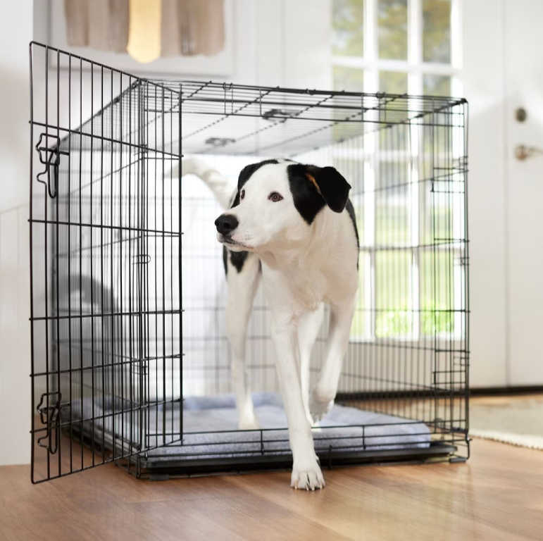 Frisco Fold & Carry Wire Dog Crate