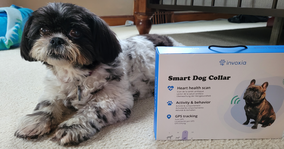 Invoxia Smart Dog Collar Review