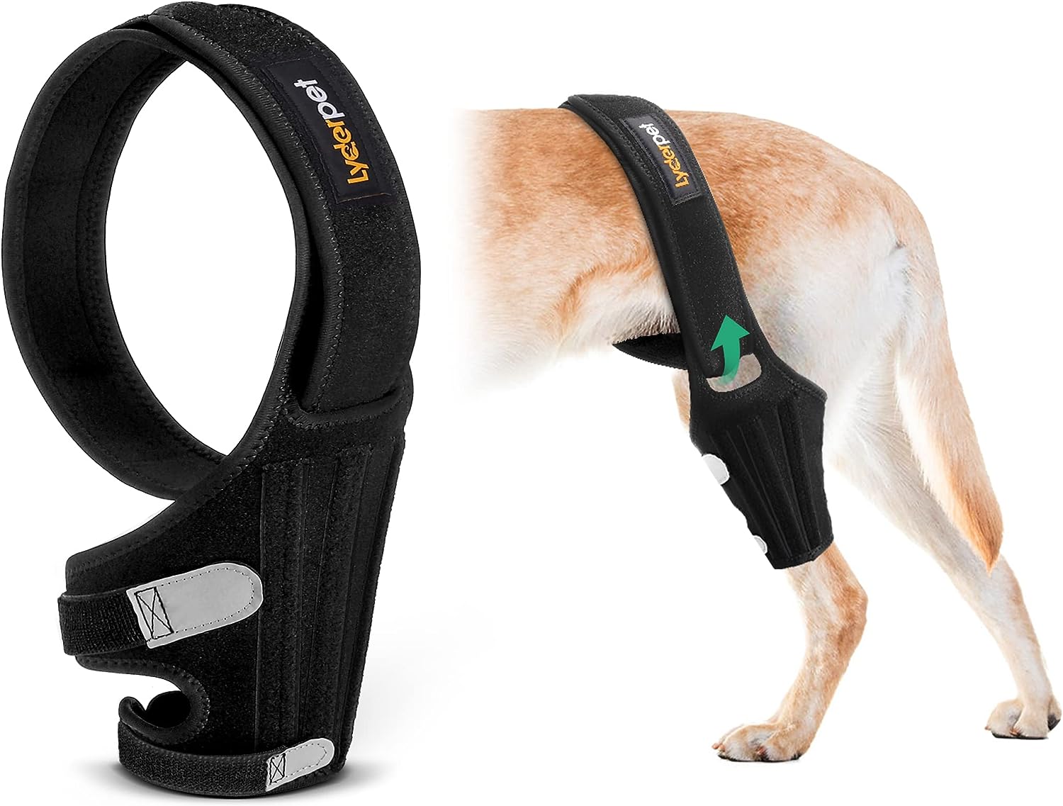 Lyderpet Dog Knee Brace for Torn ACL Hind Leg