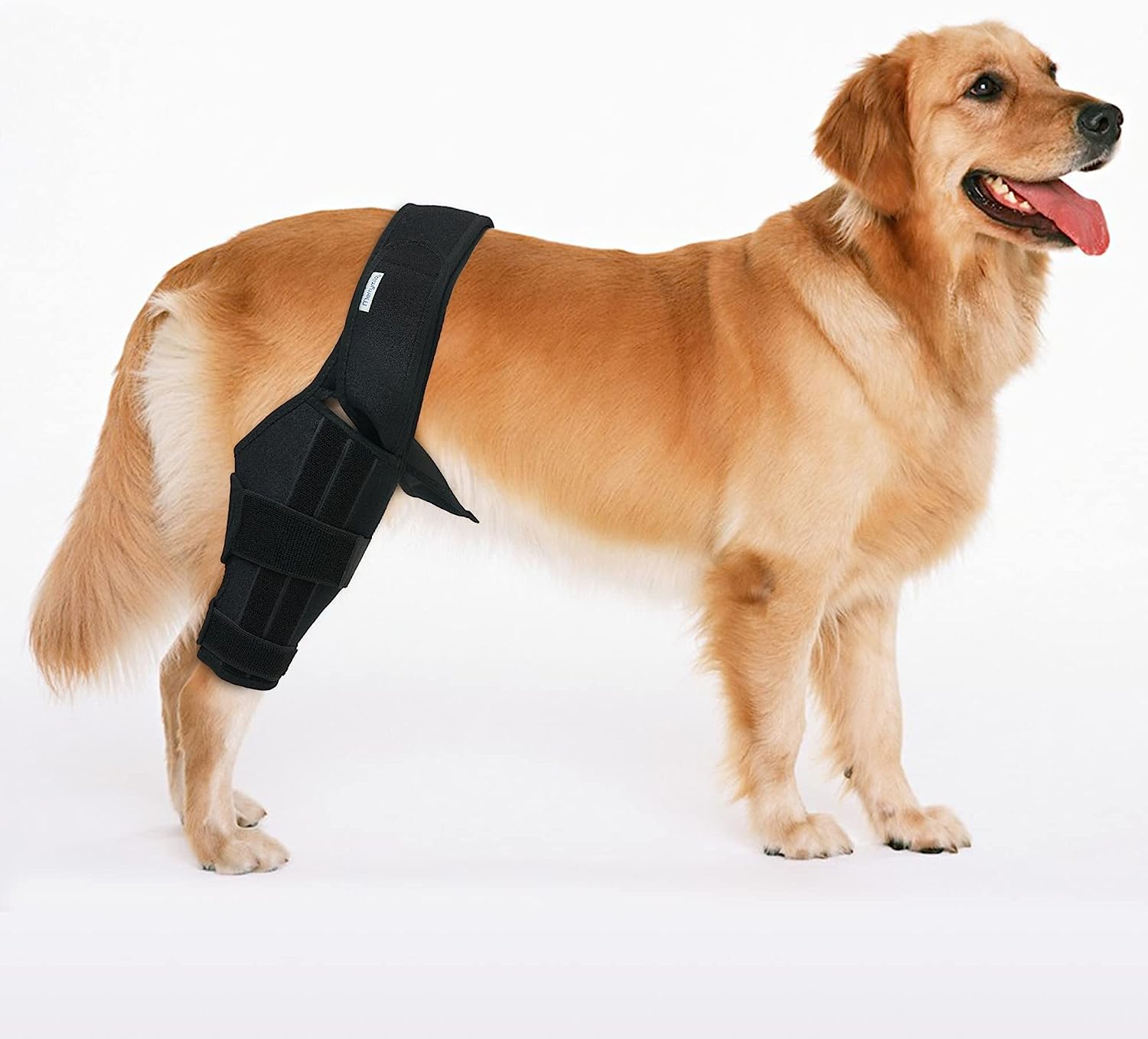 MerryMilo Dog Knee Brace for Dog