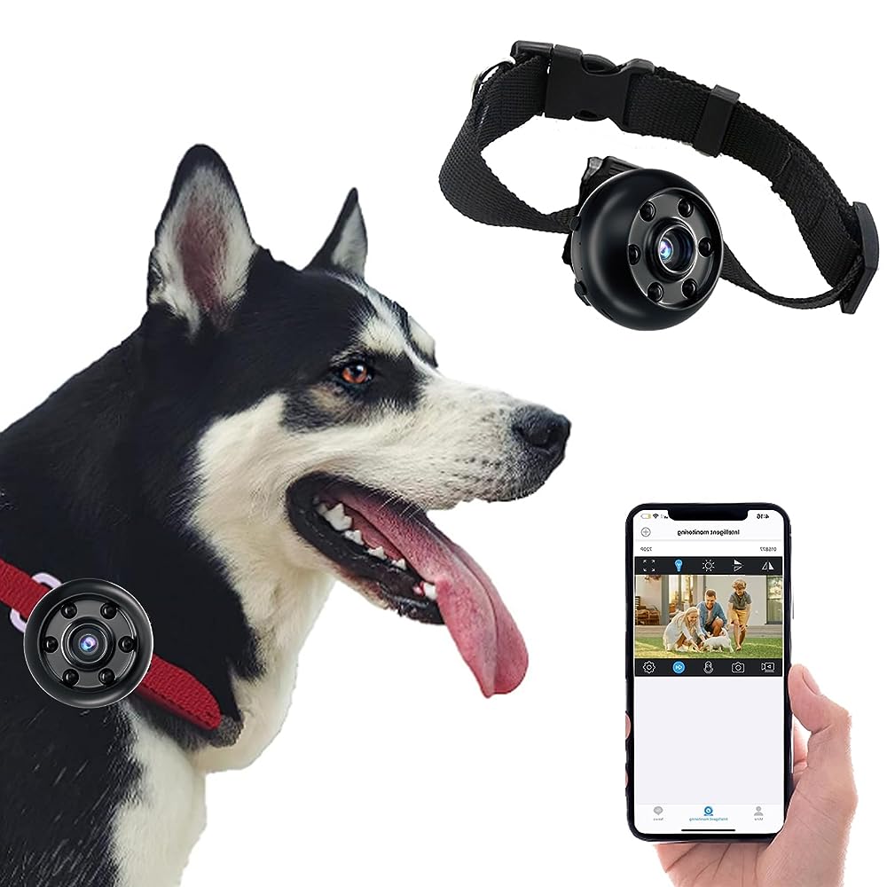 Neruyinso Wireless Pet Camera with Phone App, WiFi Mini Camera, No Collar Included