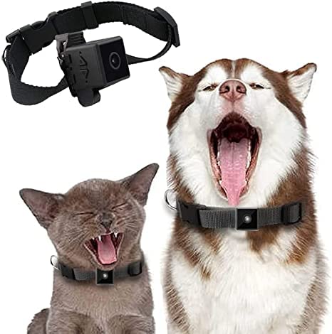 Neruyinso No WiFi Needed Pet Collar Camera with Night Vision & Motion Detection