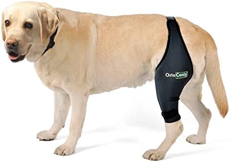 Ortocanis - Knee Brace for Dogs