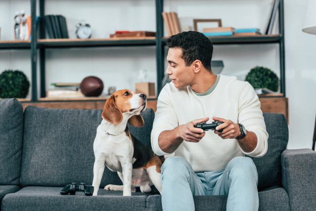 Playing video games with Beagle