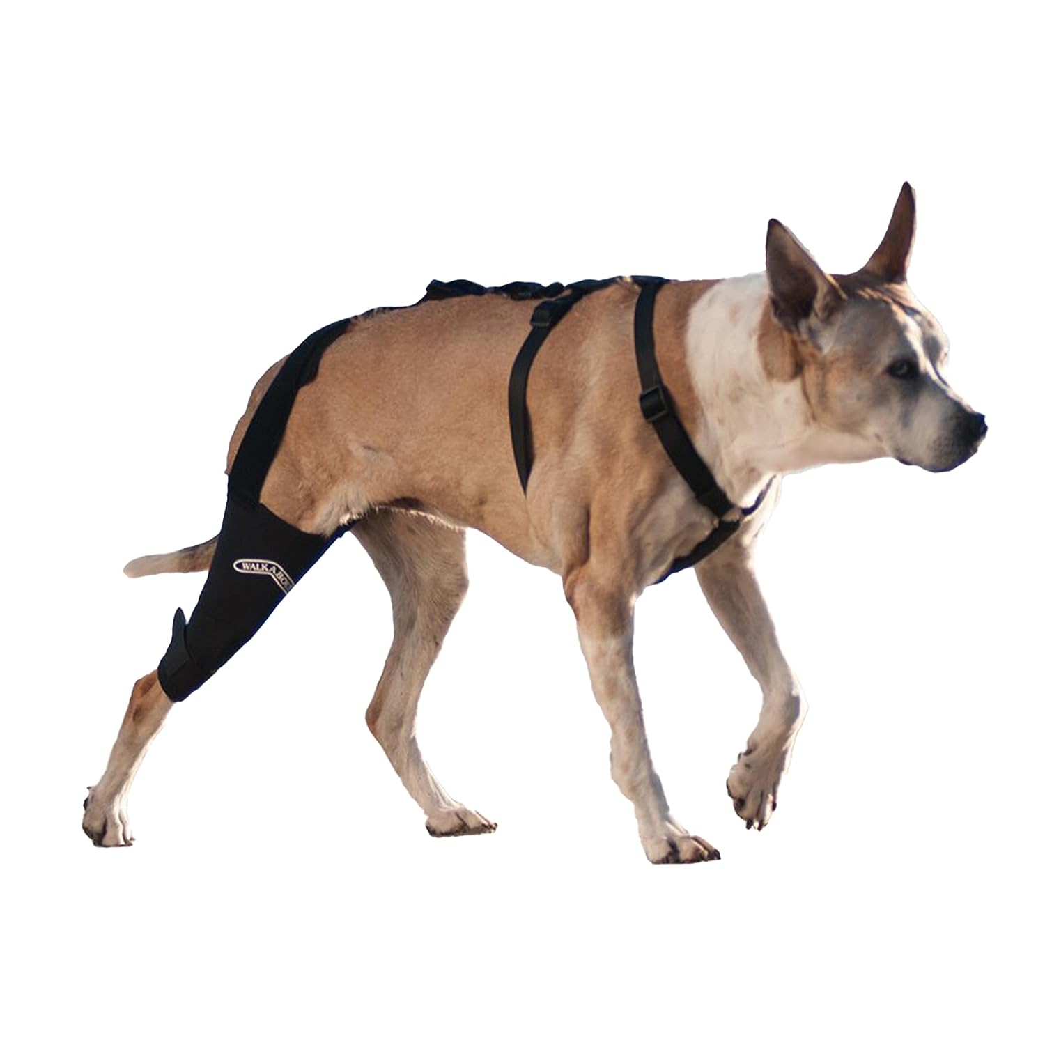 Walkabout Dog & Cat Knee Brace