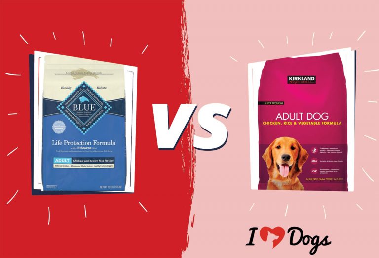 Blue Buffalo vs Kirkland Dog Food Which Is Better?