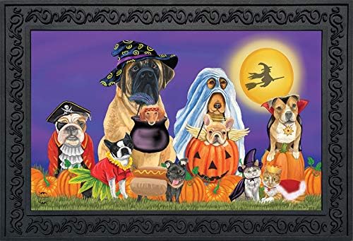 https://iheartdogs.com/wp-content/uploads/2023/09/briarwood-halloween-doormat.jpg