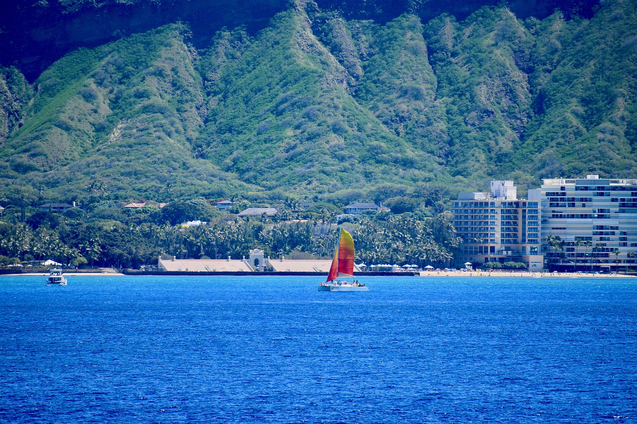 Best Veterinarian in Honolulu, Hawaii