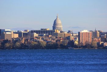 Best Dog Groomer in Madison, Wisconsin