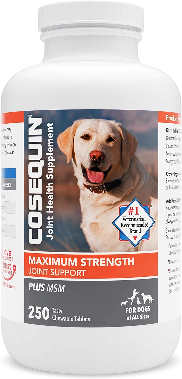 Nutramax Cosequin Maximum Strength Joint Health Supplement for Dogs