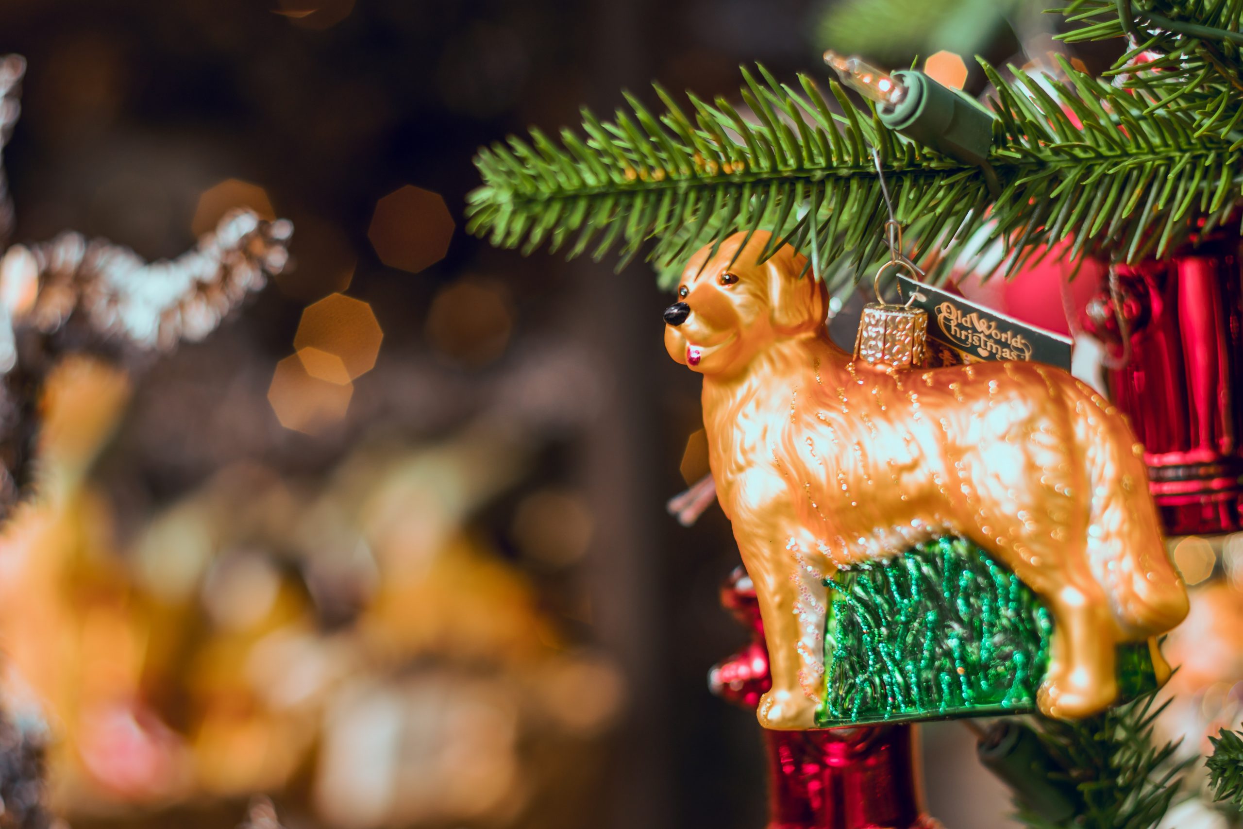 Best Dog Themed Christmas Ornaments