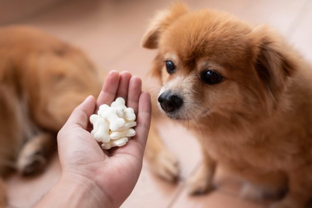calcium supplements for dogs