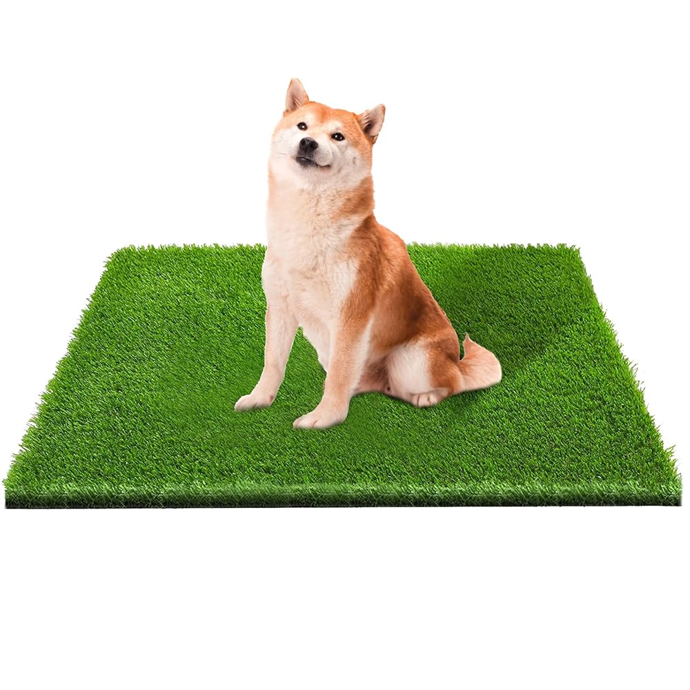 Briard Dog Area Rug Christmas Pet Lovers Floor Carpet Rug for Indoor