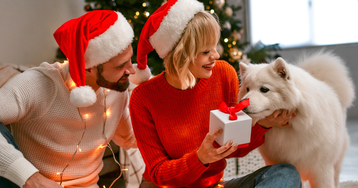 Best Christmas gifts for dogs