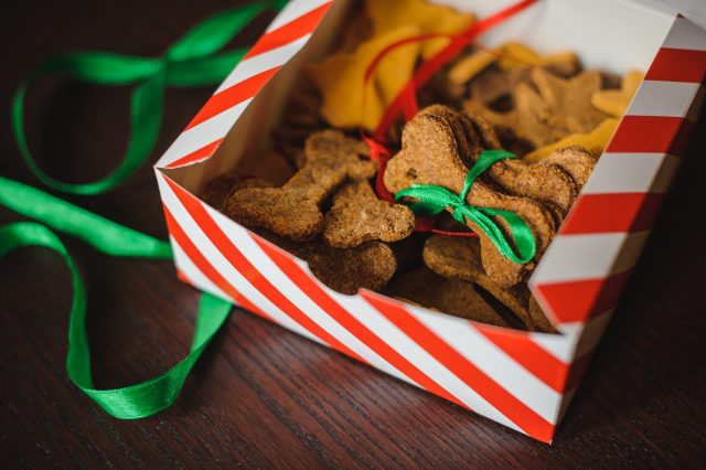 Box of dog Christmas biscuits