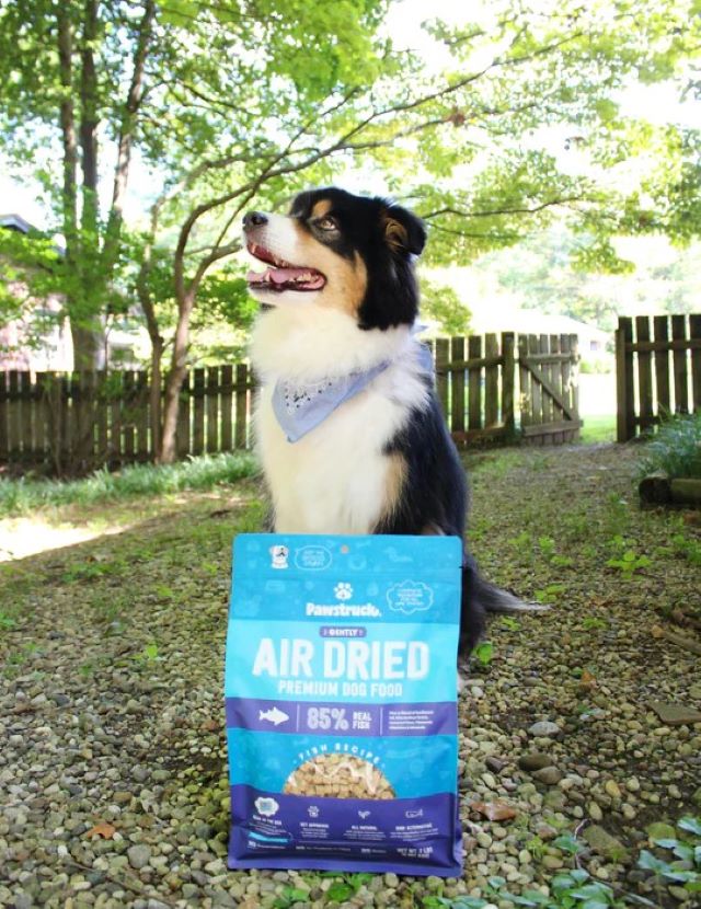 Dog with Pawstruck Fish Air Dried Dog Food