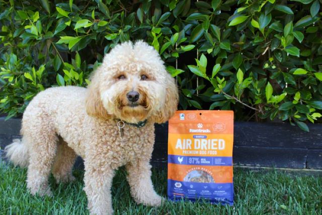 Dog with Pawstruck Chicken Air Dried Dog Food