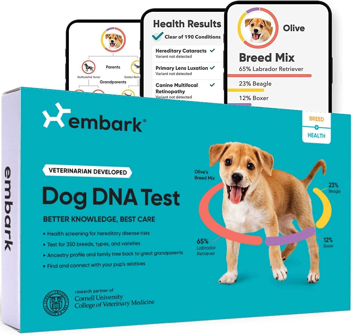 Embark Dog DNA Test