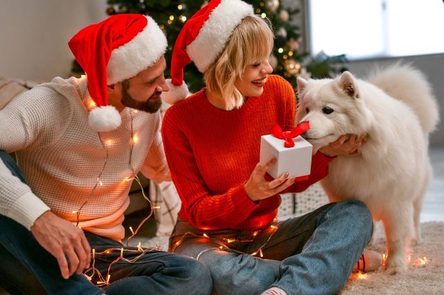 Giving dog a Christmas gift