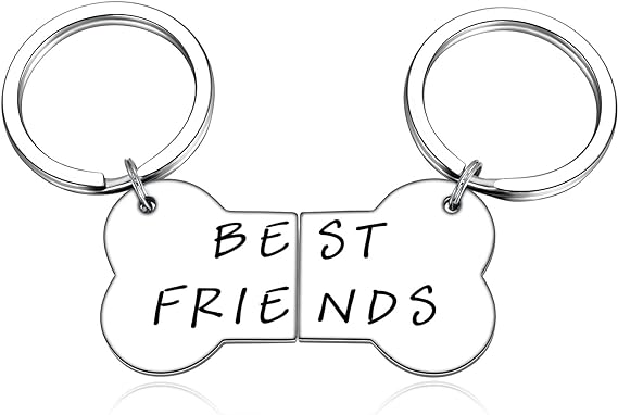 MIXJOY Matching Best Friends Charms for Dog and Owner